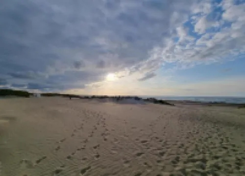 Apartment in Oostduinkerke Near the Beach