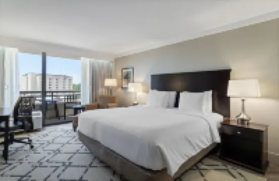Crowne Plaza 行政中心的巴吞魯日