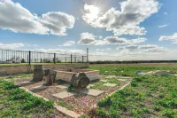 The Oasis Ranch 20-Acre Ranch in Whitewright!