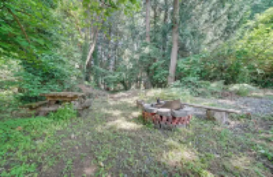 1/2 Mi to Yarrow Bay: Family Home in Kirkland