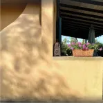 Apartment Torre. Beautiful garden, AC, 2 bedrooms 1 bathroom, near the sea. Hotels in Castagneto Carducci