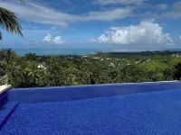 Oceanview Luxury Villa, 6 bedrooms, WiFi, AC, breakfast Preparation included - 私人泳池