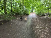 Modern Kingsize Room with Garden View close to Prestwich Centre Hotels in Prestwich