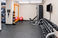 Hilton Garden Inn Detroit-Southfield - Gym