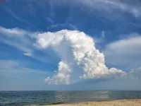 Family friendly in Hampton with huge yard, dog park, and 2 blocks from the bay