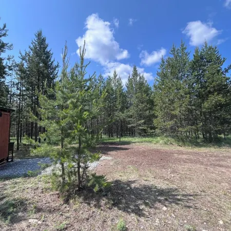 Retreat to our cozy cabin nestled in a private hideaway.Solar lights & shower