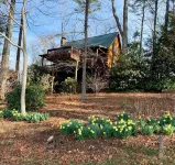3-bedroom cabin in peaceful Fleetwood with WiFi, AC. Enjoy nature