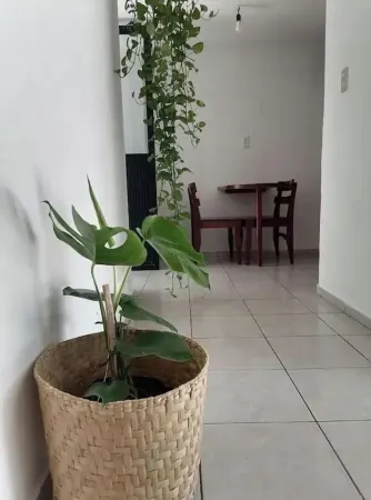 In the heart of Colima