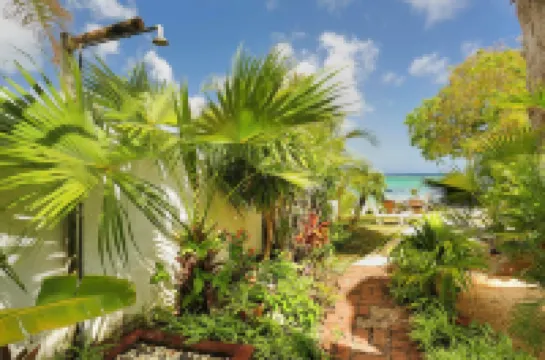 Samya, a luxury villa by the sea