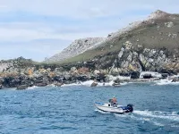 ClintHouse - Gannet Studio