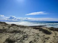 Charming studio near the beach. Hotels in Seignosse