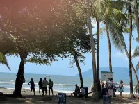 Peaceful, Meditative Casita in the Jungle,  Yet 7 Minutes to World Class Surf Hotels in Paraiso