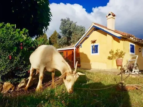 Mi Refugio RÎØ 150 years BBQ Farm Hotels in Guasca