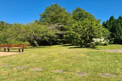 Cabin #3 Glamping Pucón附近的飯店