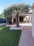 House with swimming pool in a village between Cannes and Grasse on the mimosa road