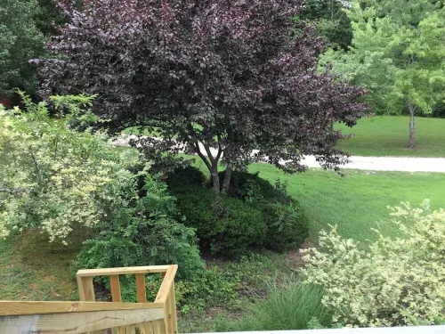 Patsy Cline Fan Room Hotels in Camden