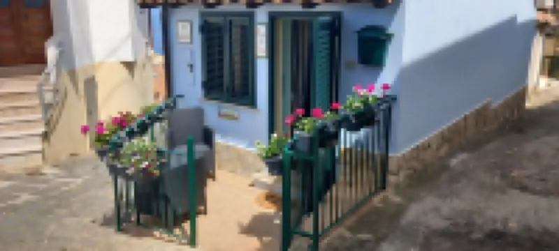 Grandma's little house