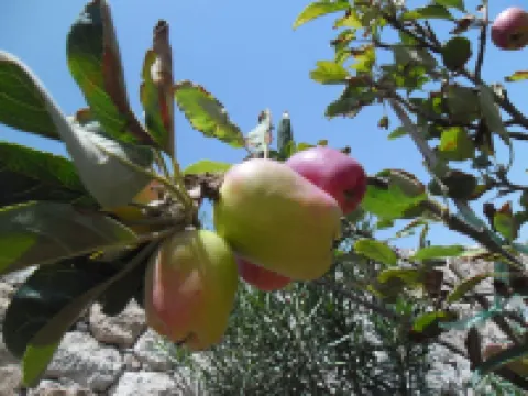 Villa Julia Comfortable holiday residence