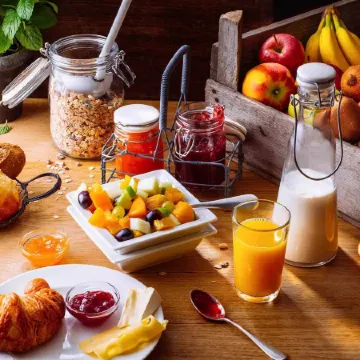 Ibis Wien Messe