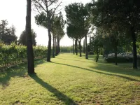 furry frinds with family home Hotels in Faenza