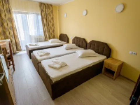Pensiunea Domneasca Hotels in Pitesti