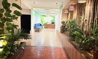 Rest Nest - Havelock