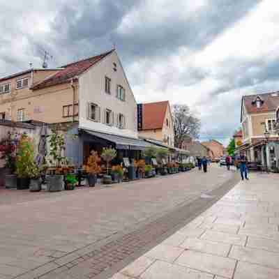 The Vlasta Collection Others