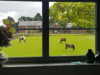 Rylands Farmhouse Hotels in Wilmslow