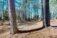 6 Mi to Dtwn: 'Macon Memories' Dog-Friendly Haven - 4-Star