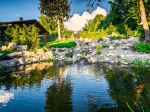 トムホフ シャレー ブランのホテル