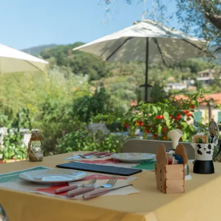 Agriturismo la Collina Verde