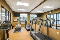 Clarion Inn Elmhurst - Oak Brook Near I-88 I-290 I-294 - Kuntosalit