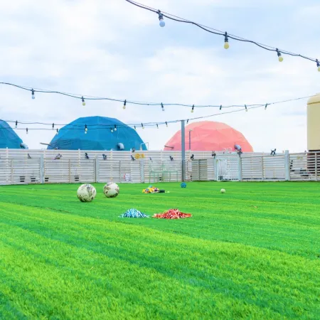 Pohang Pet Glamping