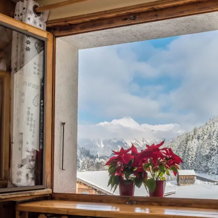 Chalet Bluebell