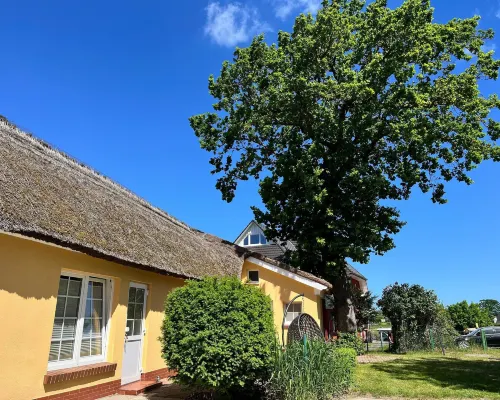 Appartementhaus Kathrin, Wieck am Darß Hoteles en Wieck auf dem Darß