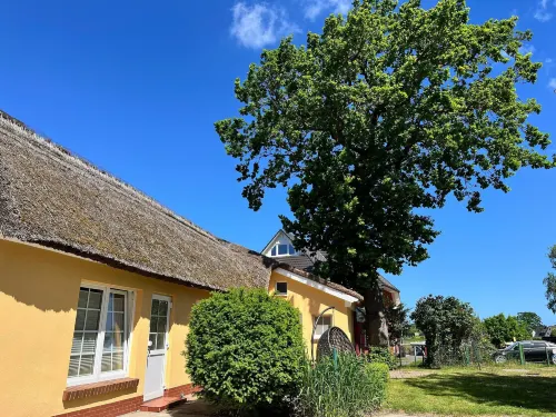 Appartementhaus Kathrin, Wieck am Darß