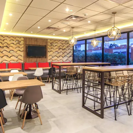 Ibis Cúcuta