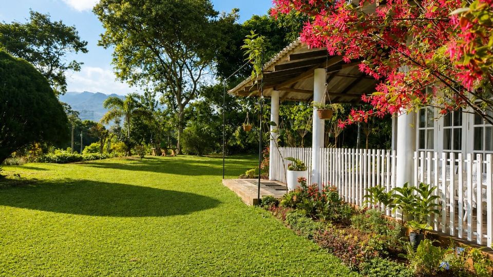 Aura Hilltop Matale