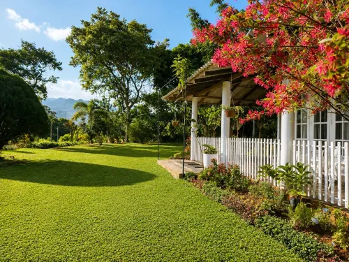 Aura Hilltop Matale - Bed and Breakfasts