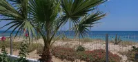 Beach Front Luxury Living Apartment - Ocean View