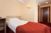 Amaks Premier Hotel - Bars