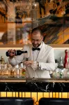 The St. Regis Budapest - 5-Star