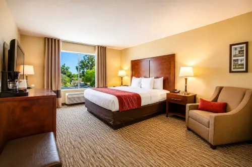 Comfort Inn Pomona Near Fairplex - Wifi
