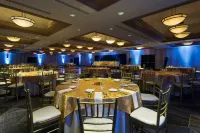 Santa Ynez Valley Marriott - Lemmikkieläimet sallittu