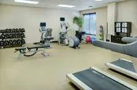 Hilton Garden Inn Toronto/Burlington - gimnasio