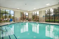 Hampton Inn Ann Arbor-South - Pools