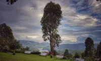 The Regalia Munnar Hôtels à : Chinnakanal