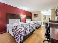 Red Roof Inn Orlando South - Florida Mall - Motel