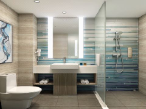 临沂滨河智选假日酒店 - 其他