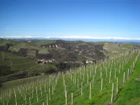 Private Estate Among the Vineyards of Alba - Italy
